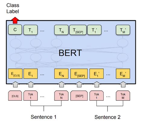 Bert GPT 的图像结果