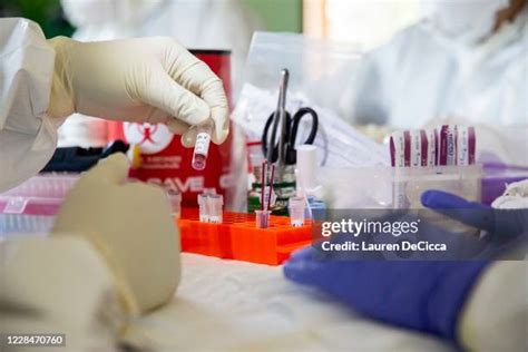 Image result for Lab Sample Tissue