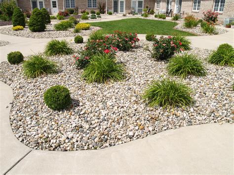 What Outdoor Plants Are Low Maintenance at Patricia Bartholomew blog