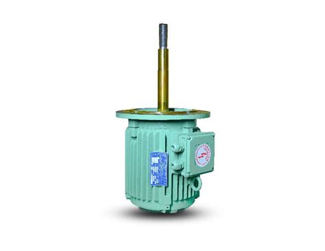 Long Shaft Electric Motor Manufacturer Exporter Supplier from Nashik India