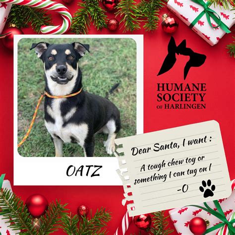 Humane Society of Harlingen (@hshtxorg) / Twitter