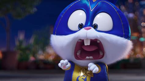 Snowball The Secret Life Of Pets Wallpapers - Wallpaper Cave