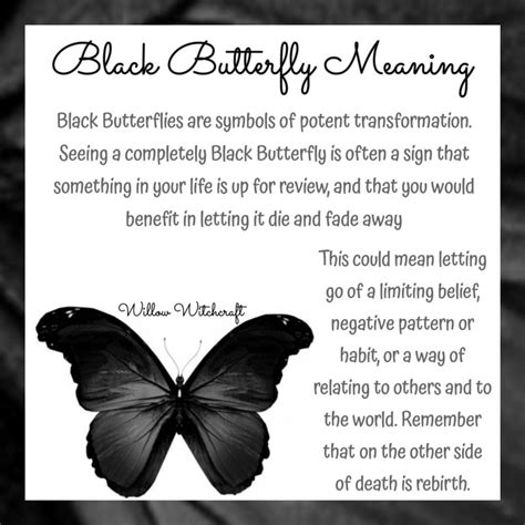 Butterfly meaning and symbolism discover their beautiful and simple ...