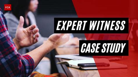 Expert Witness Example 的图像结果