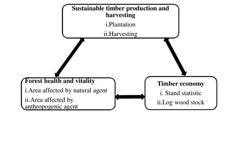 Image result for Analytical Network Process Example PPT