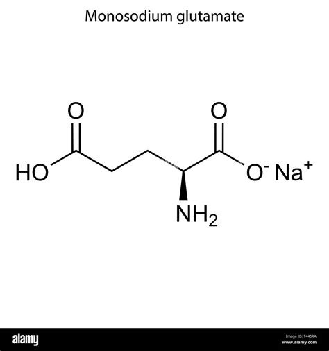 Monosodium Glutamate Structure