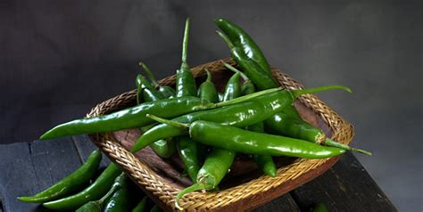How to grow green chilli plant from seeds – TrustBasket