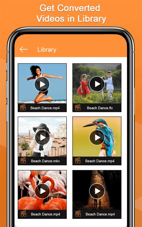 Image result for Video Format Factory