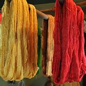 D'source Silkworm Sericulture | D'Source Digital Online Learning ...