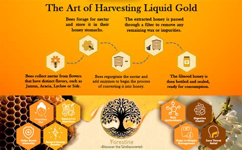 FORESTINE Sidr Natural Honey | 100% Pure, Un-Processed, Unadulterated ...