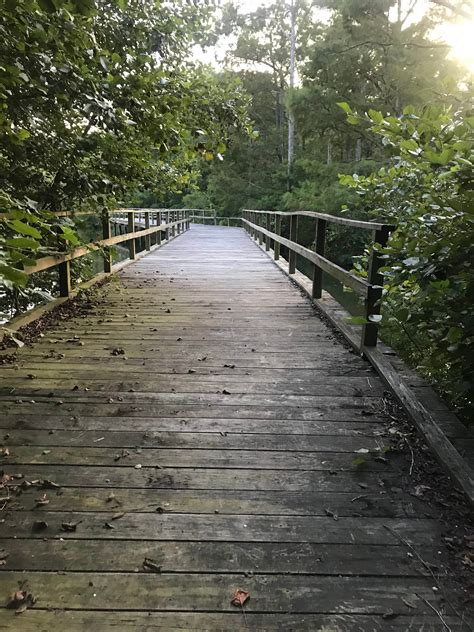 Wall Doxey State Park Camping | The Dyrt