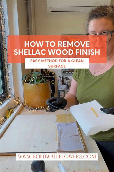 Image result for How to Repair Shellac