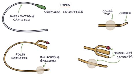 Urinary Catheter Types