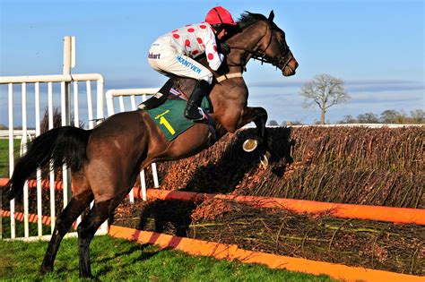 horse, Racing, Race, Equestrian, Sport, Jockey, Horses Wallpapers HD / Desktop and Mobile ...
