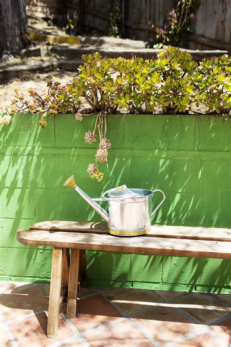 Greg Chait The Elder Statesman - The Selby The Selby