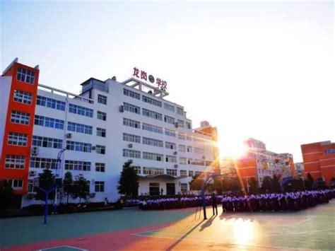 一份来自春天的“心”关怀——绿萝心数走进汉中市龙岗中学 - 知乎