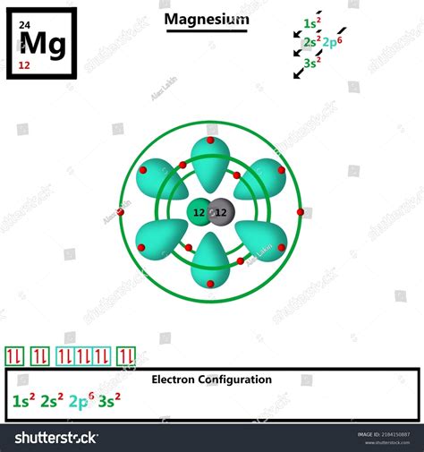 Magnesium Periodic Table Element Atomic Model Stock Vector (Royalty ...