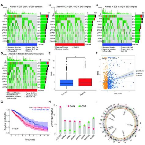 Image result for Copy Number Variation Genes