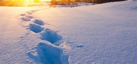 Image result for Snow Crunching Sound