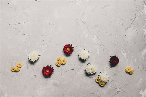 Image result for Gun Desktop Backgrounds