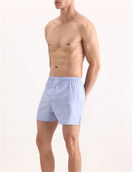 Rare Rabbit Men's Kiva Light Blue Lyocell Regular Fit Checks Boxer