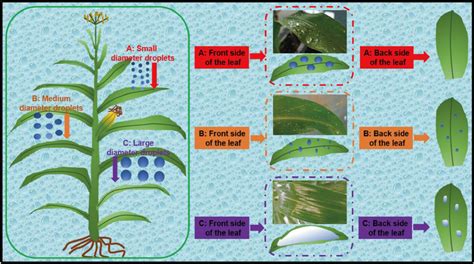 Image result for Interception Process Diagram