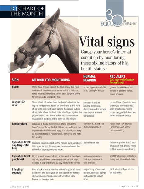 Gauge your horse's internal condition with the help of this vital signs ...