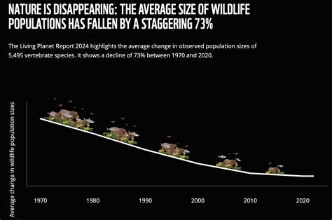 Global wildlife populations plummet by 73% in just 50 years ...