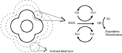 H2O2 H2O2 Reaction Type 的图像结果
