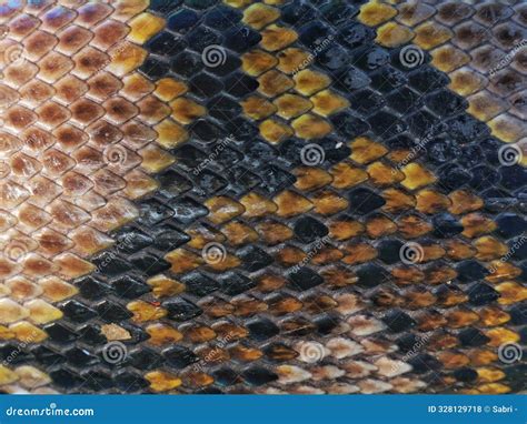 Image result for Python Skin Frieze Pattern