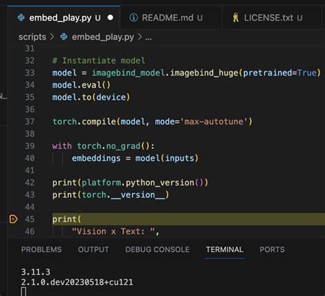 Image result for How to Install Torch Compile Module