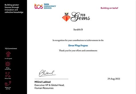 Image result for TCS Wings Spring Hands-On Coding