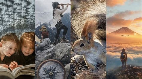 Project Logo 的图像结果