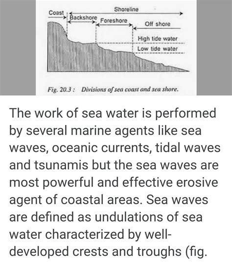 explain the work of a sea wave with diagram - Brainly.in