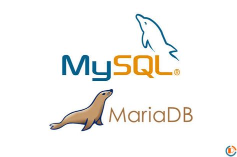 MySQL MariaDB Database Structure 的图像结果