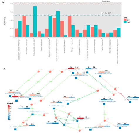 Image result for Transcriptome Analysis
