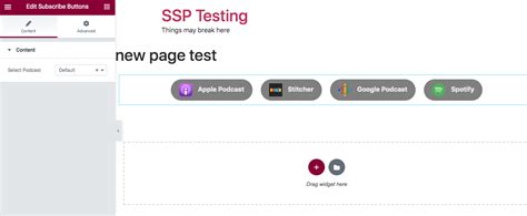 Image result for Elementor Subscribe Form