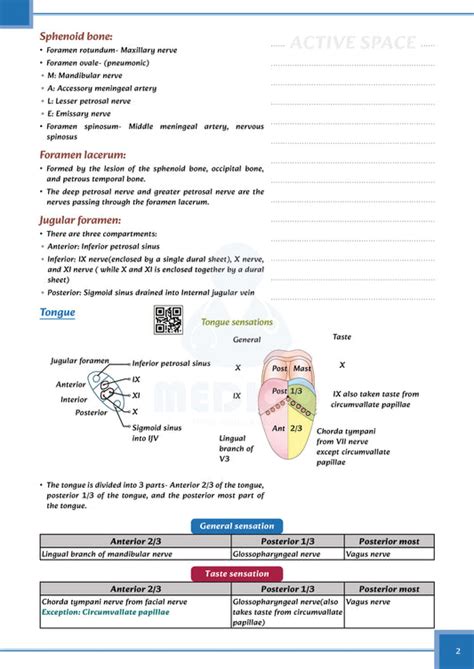 Core PYQ | PYT Notes for NEET-PG and INICET – themedico.store