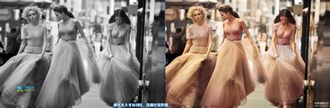 Ashampoo Colorizer 的图像结果