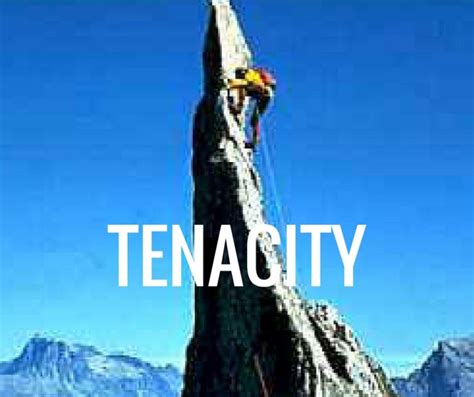 Image result for Using Tenacity