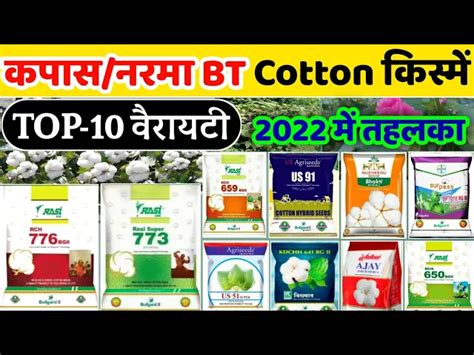 Cotton Variety | BT Cotton Top-10 Variety | Rasi seed | Best cotton ...