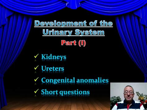 SOLUTION: 5 development of urinary system part 1 - Studypool