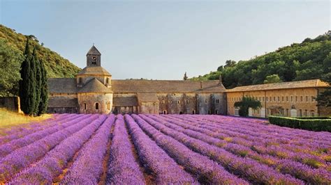 Provence 2021: Top 10 Tours & Activities (with Photos) - Things to Do in Provence, France ...