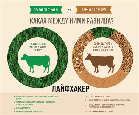 Правда ли то, что говядина, кормленая травой, полезнее? | Доктор ...