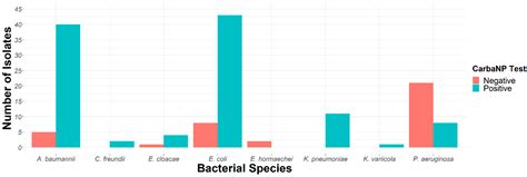 Prevalence and Molecular Mechanisms of Carbapenem Resistance among Gram ...