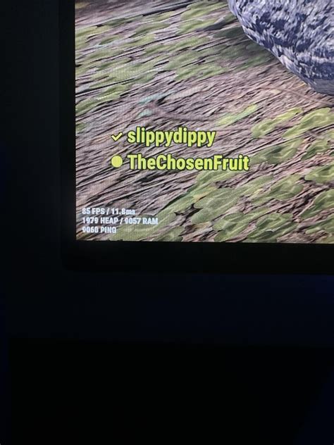 Image result for Ping Issues Rust