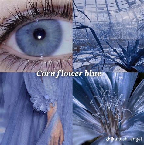 Eye contacts on Pinterest