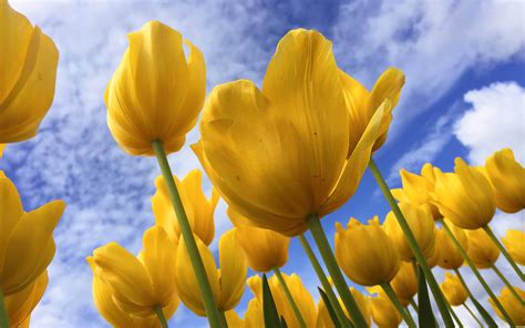 Image result for Spring Session Management