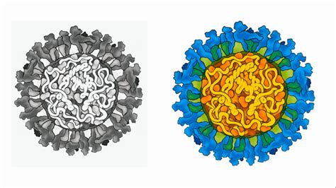 D'source Case Study - Slide Show | Scientific Visualization of ...