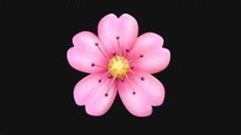 Cherry Blossom Emoji